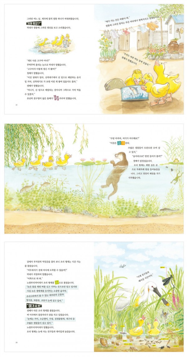 오리형제가습지로간비밀(미리보기).jpg