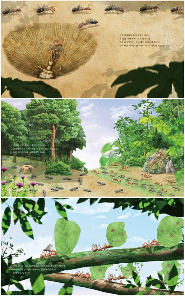 (6권)개미에게배우는생존(미리보기).jpg