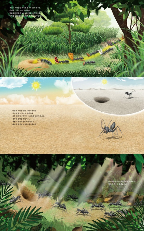 (12권)개미에게배우는사고력(미리보기).jpg