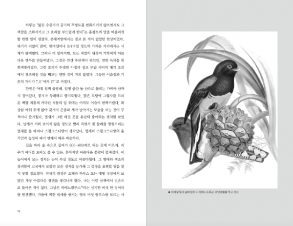 스크린샷 2018-06-01 오후 3.23.11.png