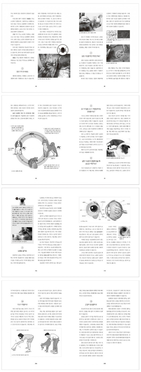 우리개응급처치119(미리보기).jpg